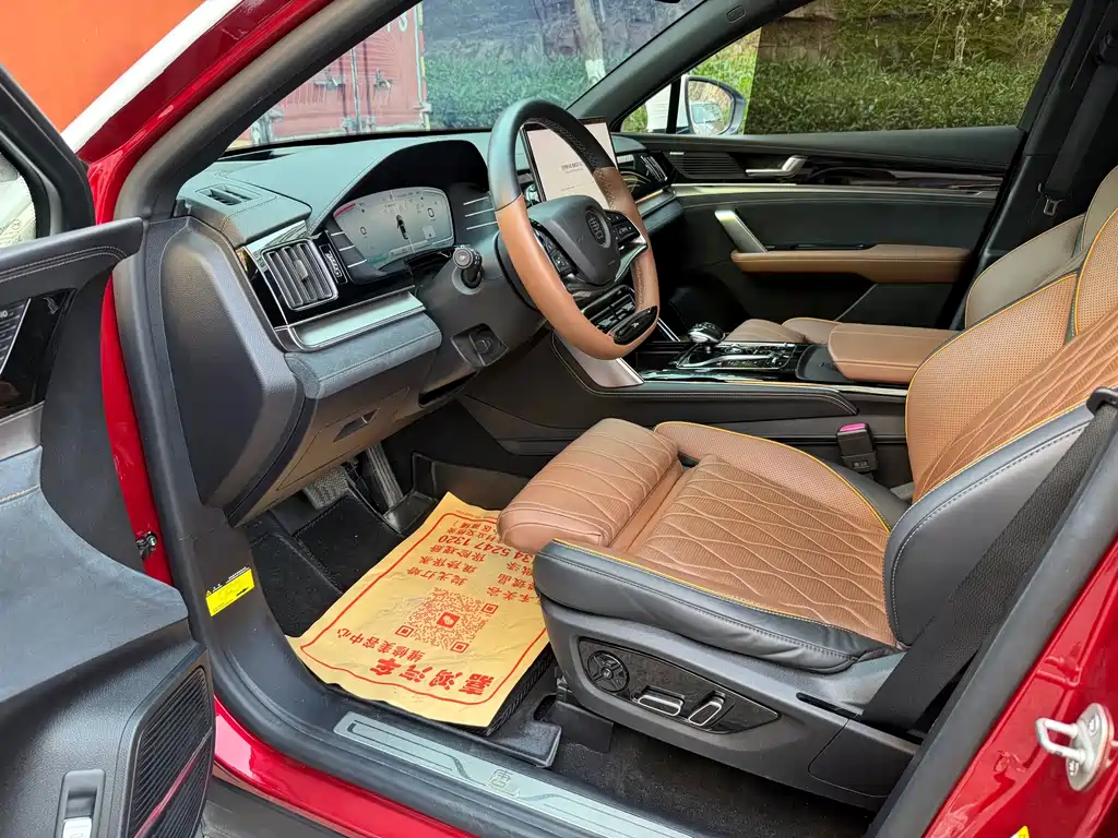 Tang NEV DM-p 215 KM 4 WD Flagship