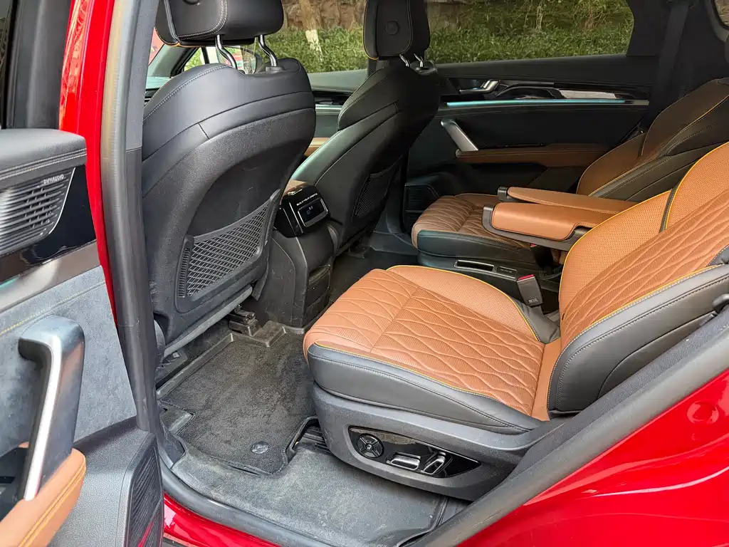 Tang NEV DM-p 215 KM 4 WD Flagship