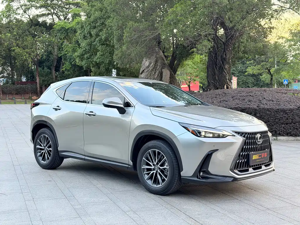 Lexus NX 雷克萨斯NX 2025款 260 前驱 特别版