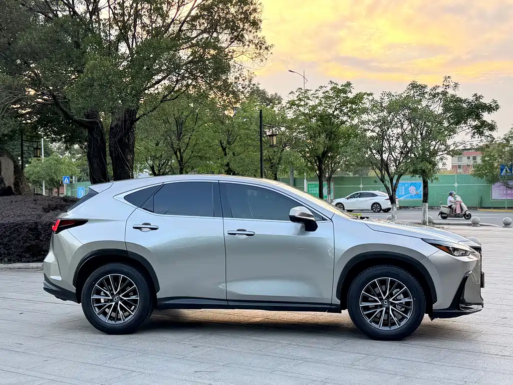 Lexus NX 雷克萨斯NX 2025款 260 前驱 特别版