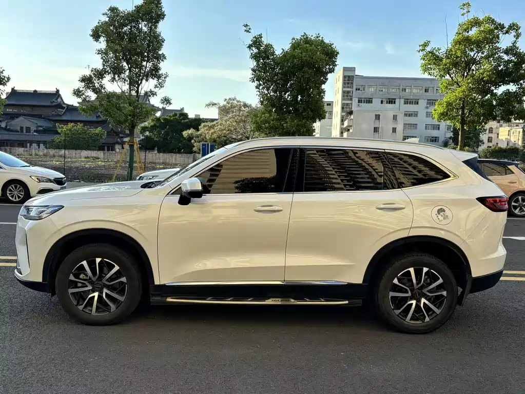 Haval H6 3 rd Gen 1.5 T Auto 2 WD Max