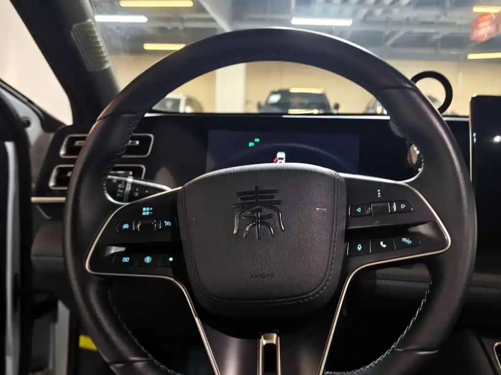 Qin L DM-i 80 KM Transcend