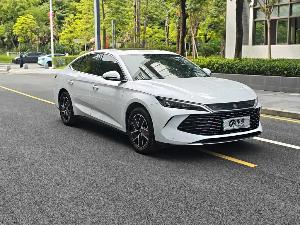 Qin L DM-i 80 KM Transcend