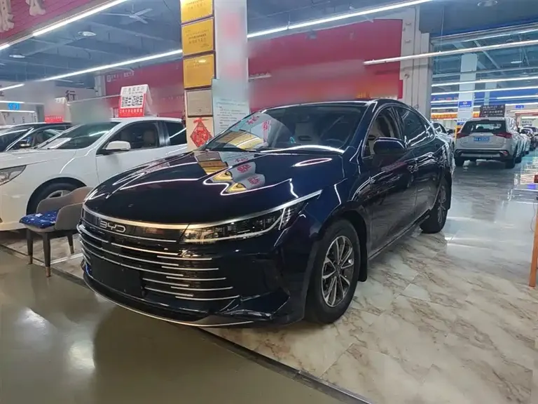 BYD Destroyer 05 Glory DM-i 55 KM Luxury