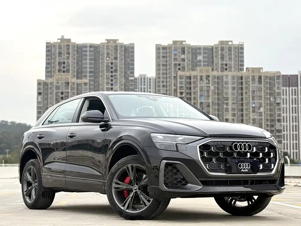 Audi Q8 55 TFSI Luxury Dynamic