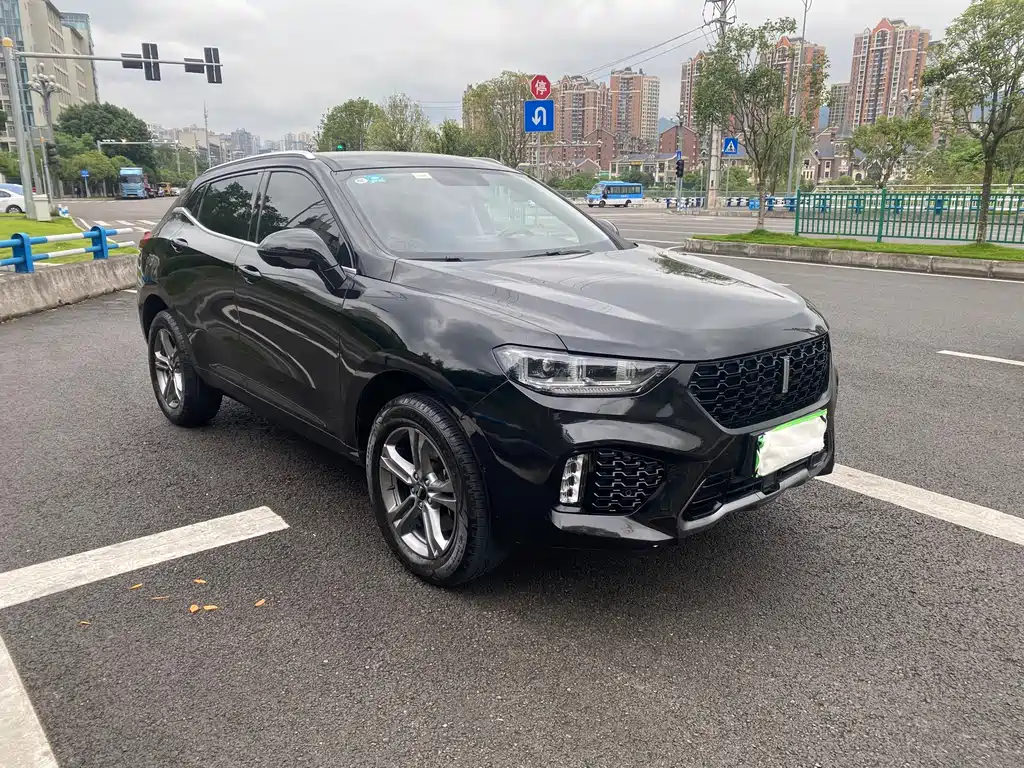 WEY VV5 2.0 T 2 WD Terminator