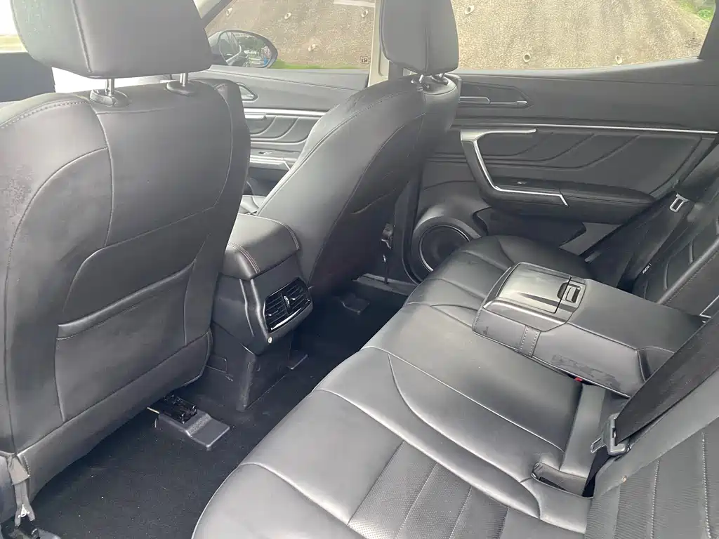 WEY VV5 2.0 T 2 WD Terminator