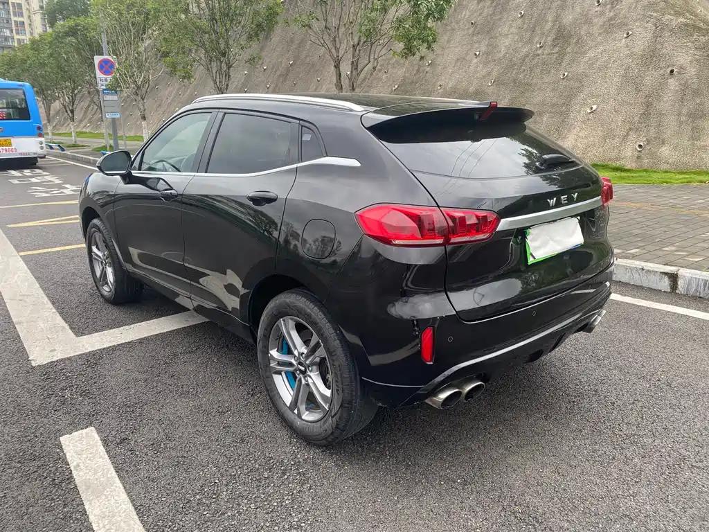 WEY VV5 2.0 T 2 WD Terminator