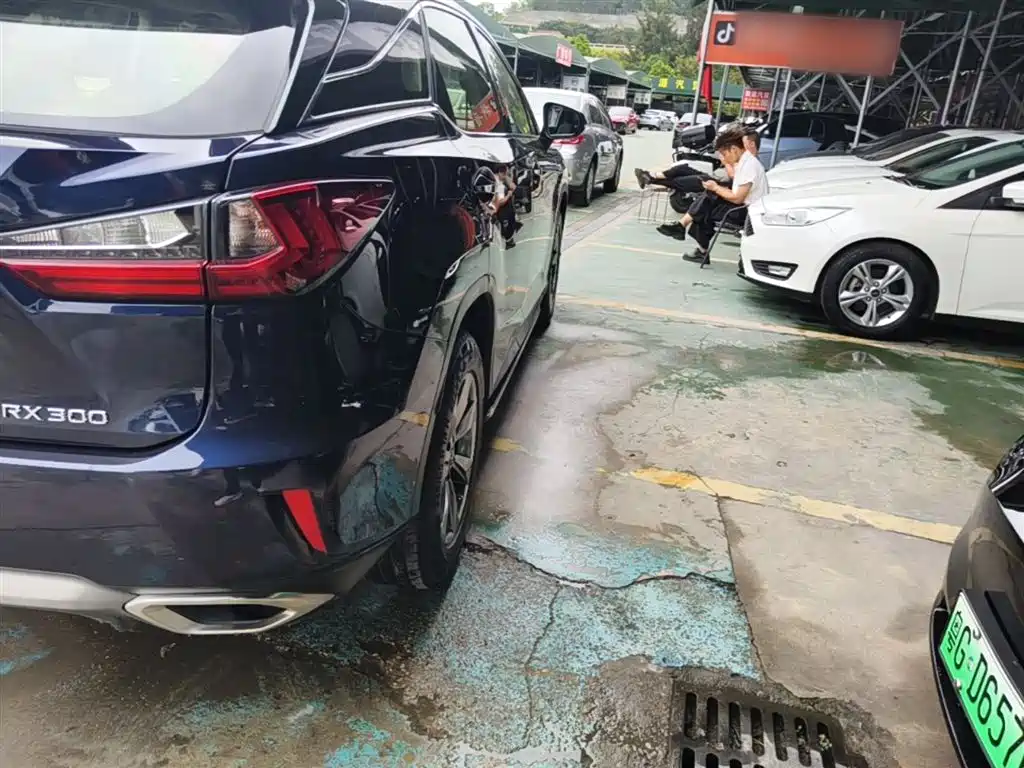 Lexus RX 300 2 WD Elite CN-V