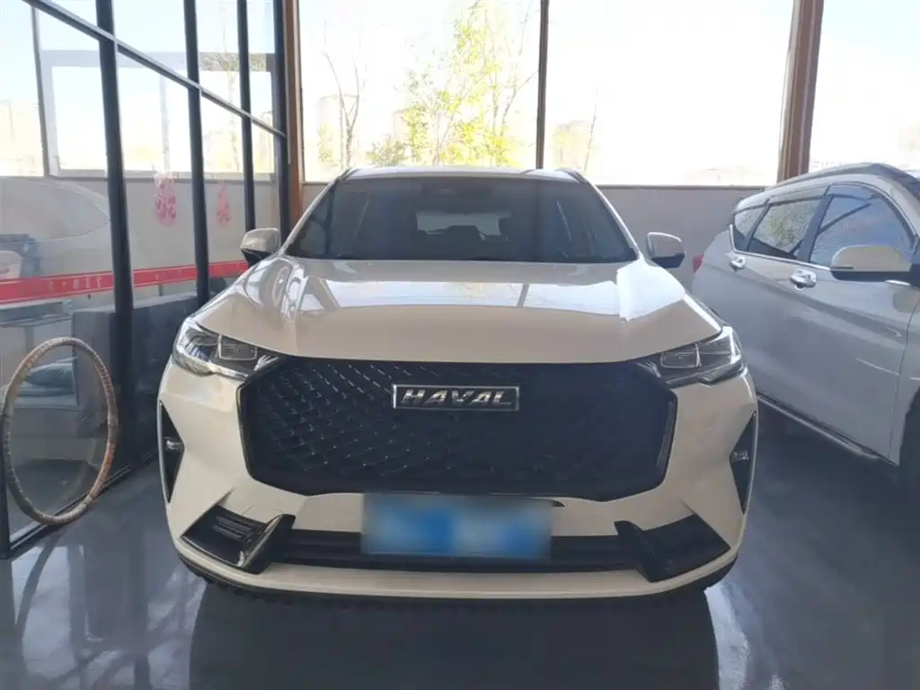 Haval H6 3 rd Gen 2.0 T Auto 4 WD Max