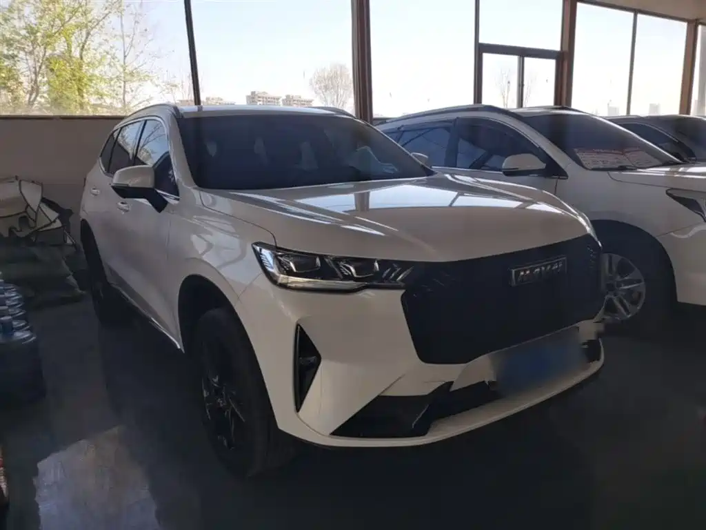 Haval H6 3 rd Gen 2.0 T Auto 4 WD Max