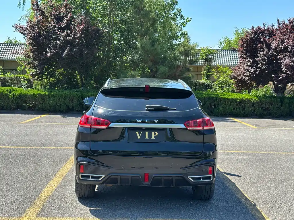 WEY VV5 魏牌 VV5 2021款 1.5 T 两驱潮先锋