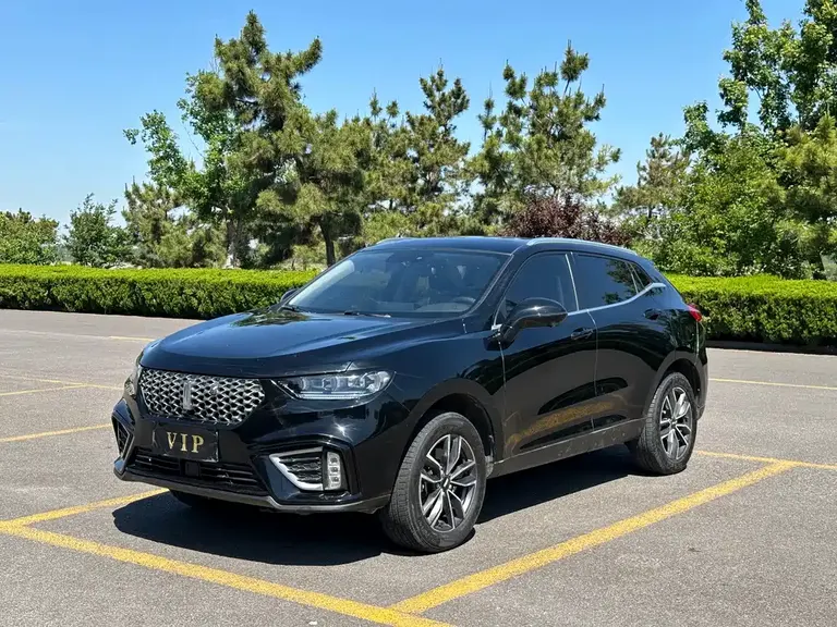 WEY VV5 魏牌 VV5 2021款 1.5 T 两驱潮先锋