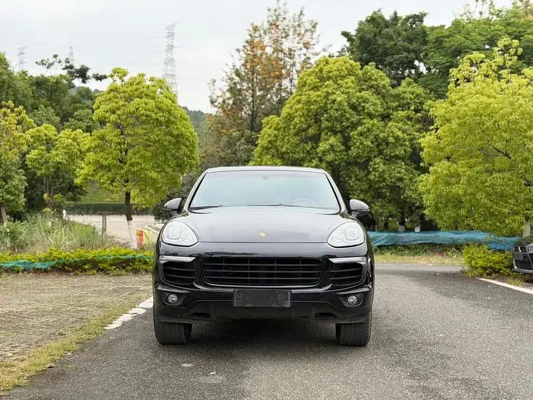 Porsche Cayenne Cayenne Platinum Edition 3.0 T