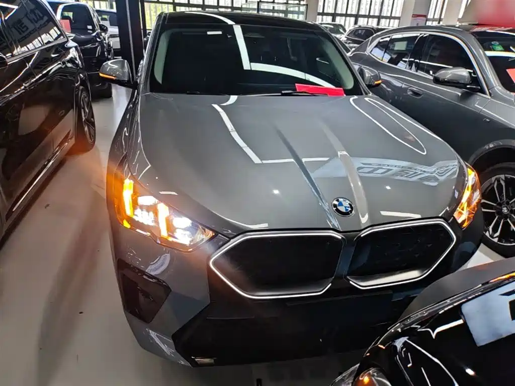 BMW X2 (Import) sDrive25 i M Sport Package
