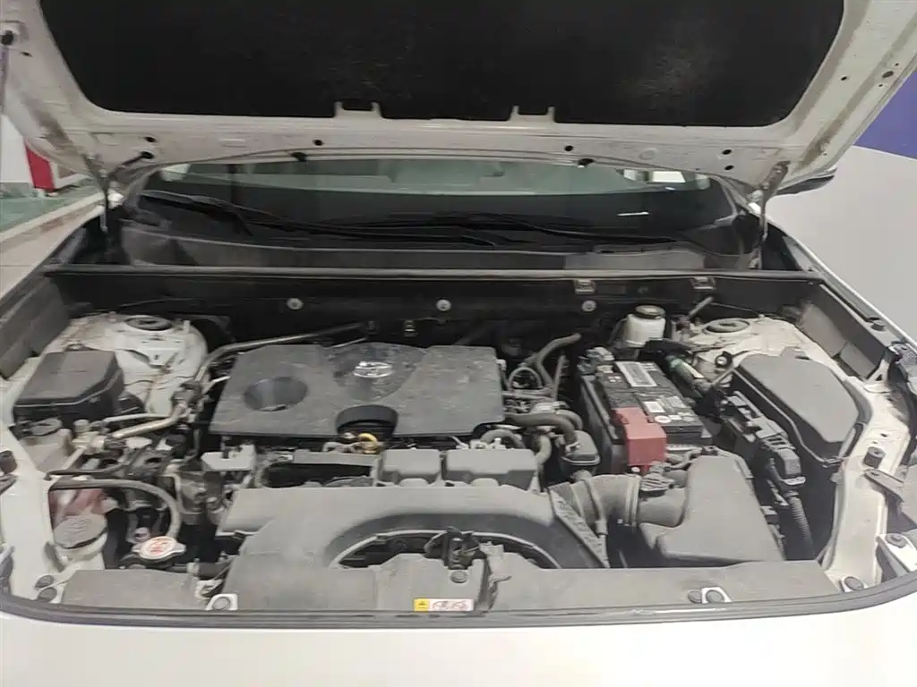 RAV4 2.0 L CVT 4 WD Distinguished