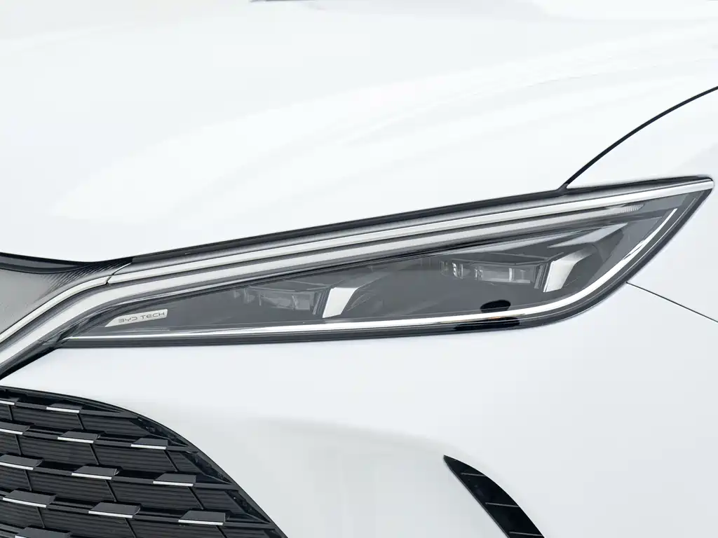 Song L DM-i 112 km Transcend