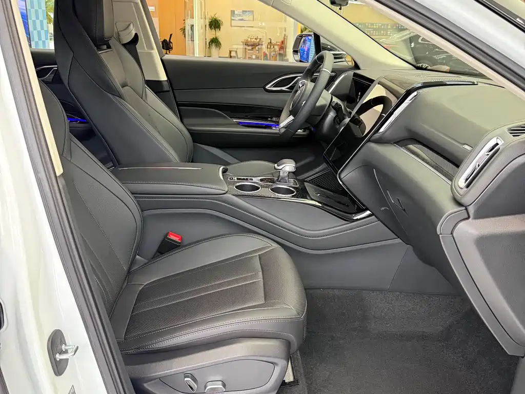Hongqi HS3 PHEV 115 km Power Action