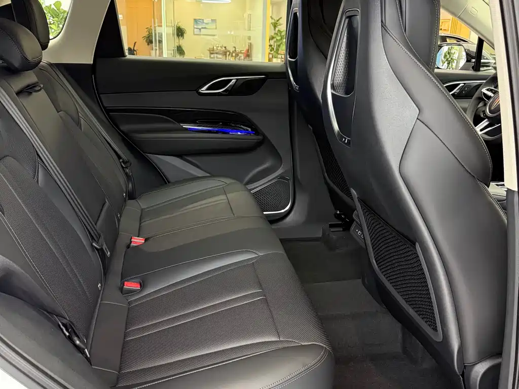 Hongqi HS3 PHEV 115 km Power Action