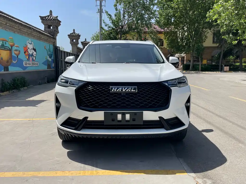 Haval H6 3 rd Gen 2.0 T Auto 2 WD Max