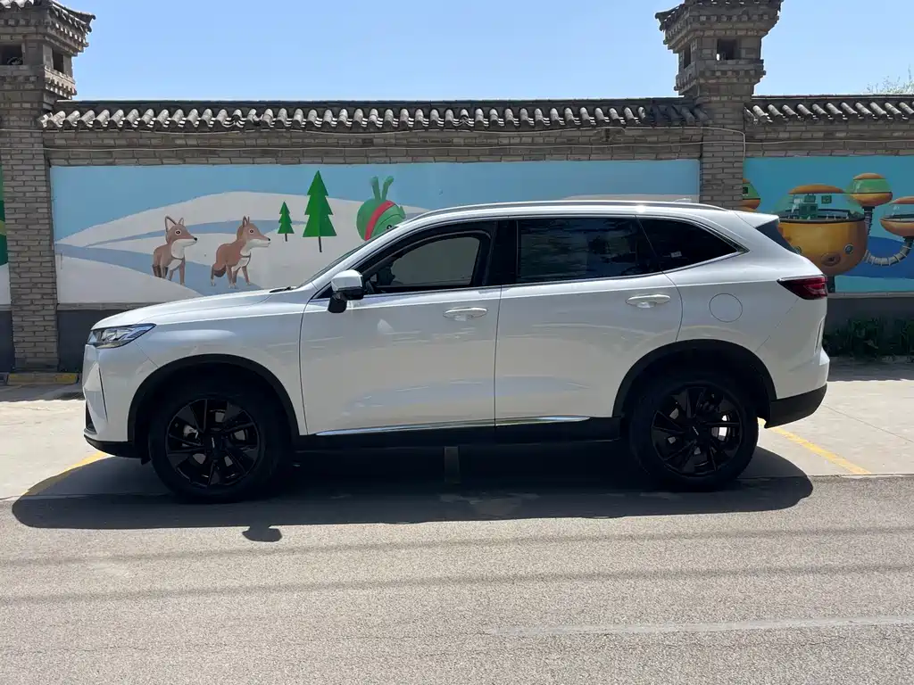 Haval H6 3 rd Gen 2.0 T Auto 2 WD Max