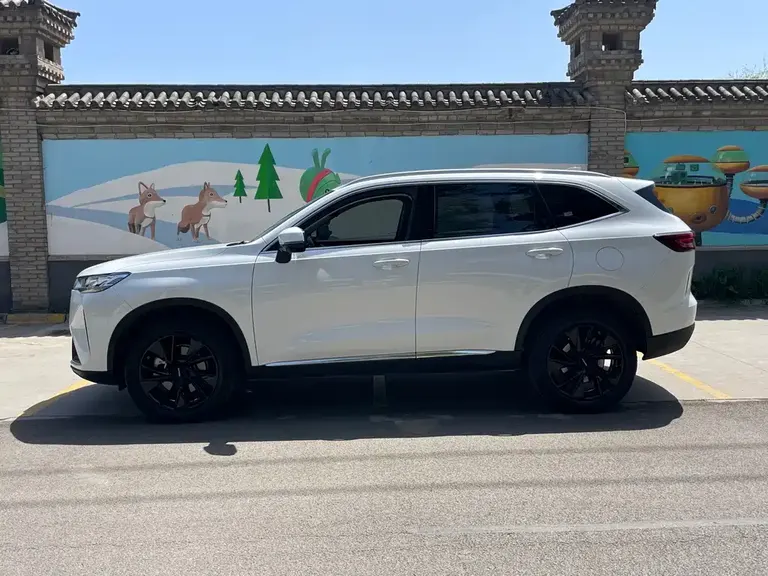 Haval H6 3 rd Gen 2.0 T Auto 2 WD Max