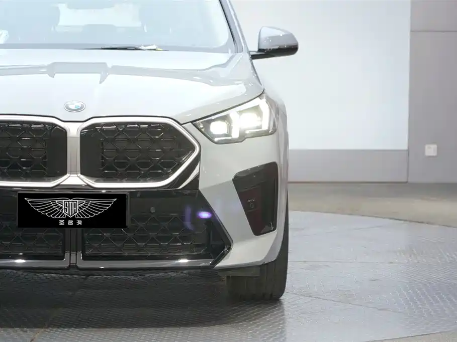 BMW X2 (Import) sDrive25 i M Sport Package