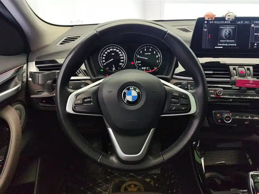 BMW X2 sDrive20 i M Offroad Package