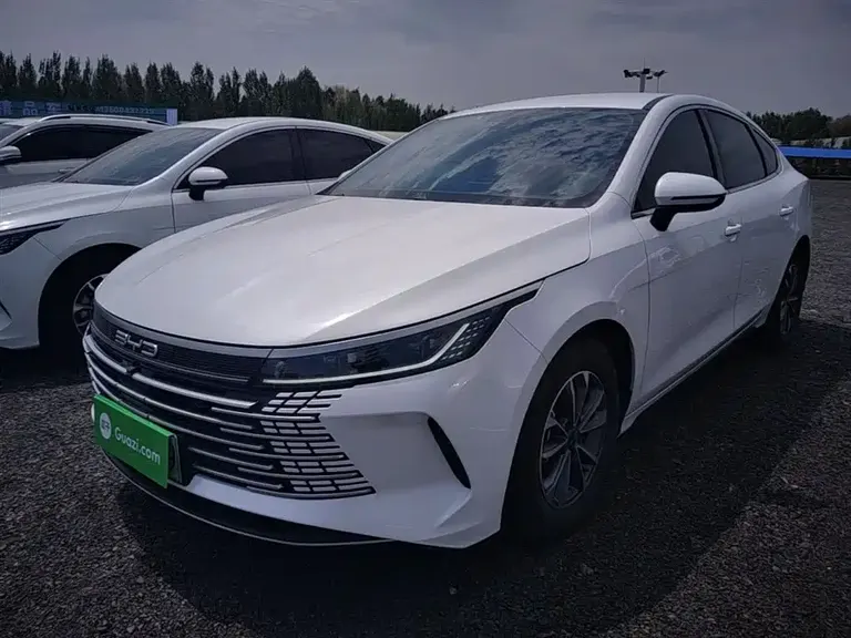 BYD Destroyer 05 Glory DM-i 55 KM Luxury