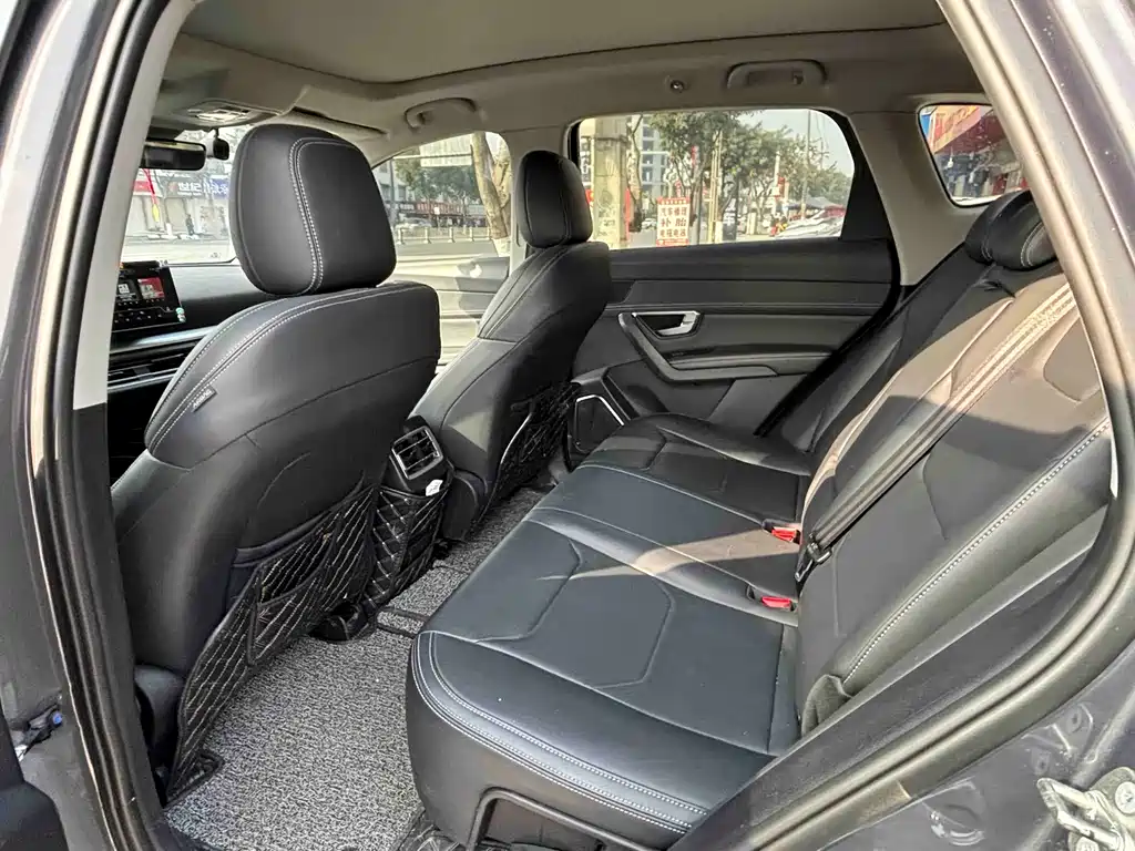 Song Pro 1.5 T Auto Luxury