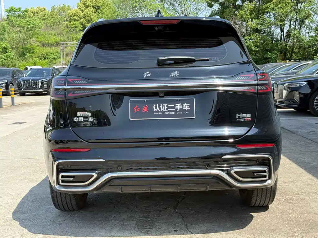 Hongqi HS5 2.0 T Flagship Joy Pro