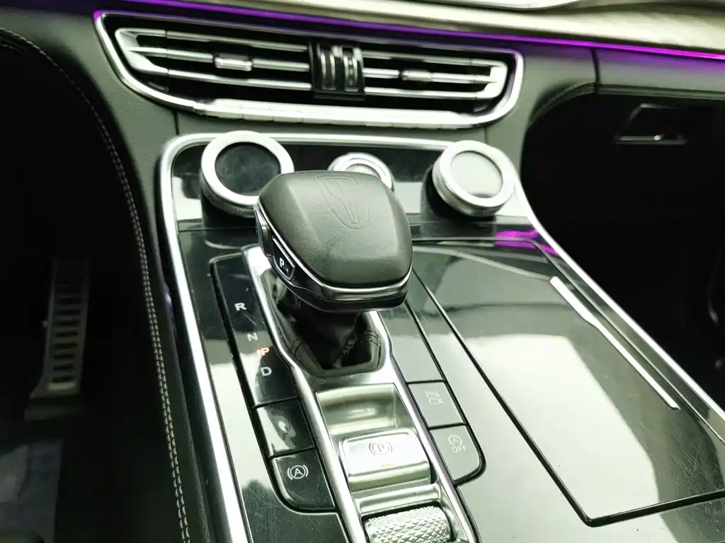 Hongqi H9 2.0 T Connected Flagship Enjoyment