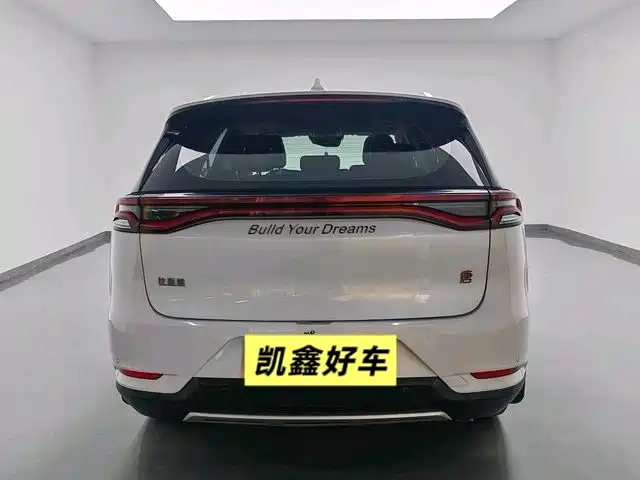 Tang 2.0 T Auto Connected Distinguished 7-seat CN-VI