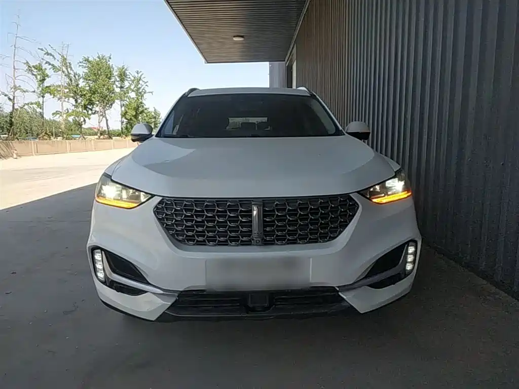 WEY VV6 魏牌 VV6 2021款 2.0 T 四驱智驭+