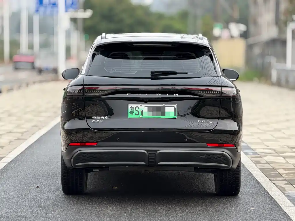 Fengyun T9 120 Long Range Flagship 7-seat LFP