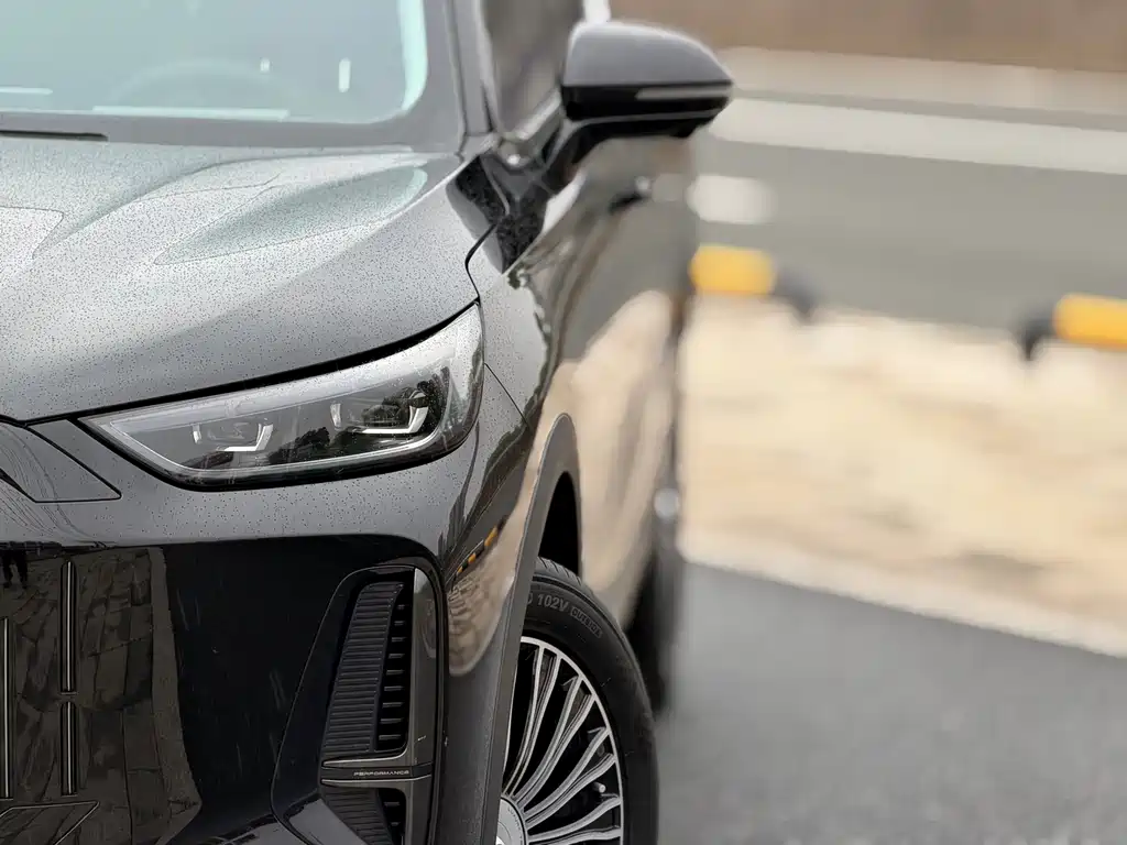 Fengyun T9 120 Long Range Flagship 7-seat LFP