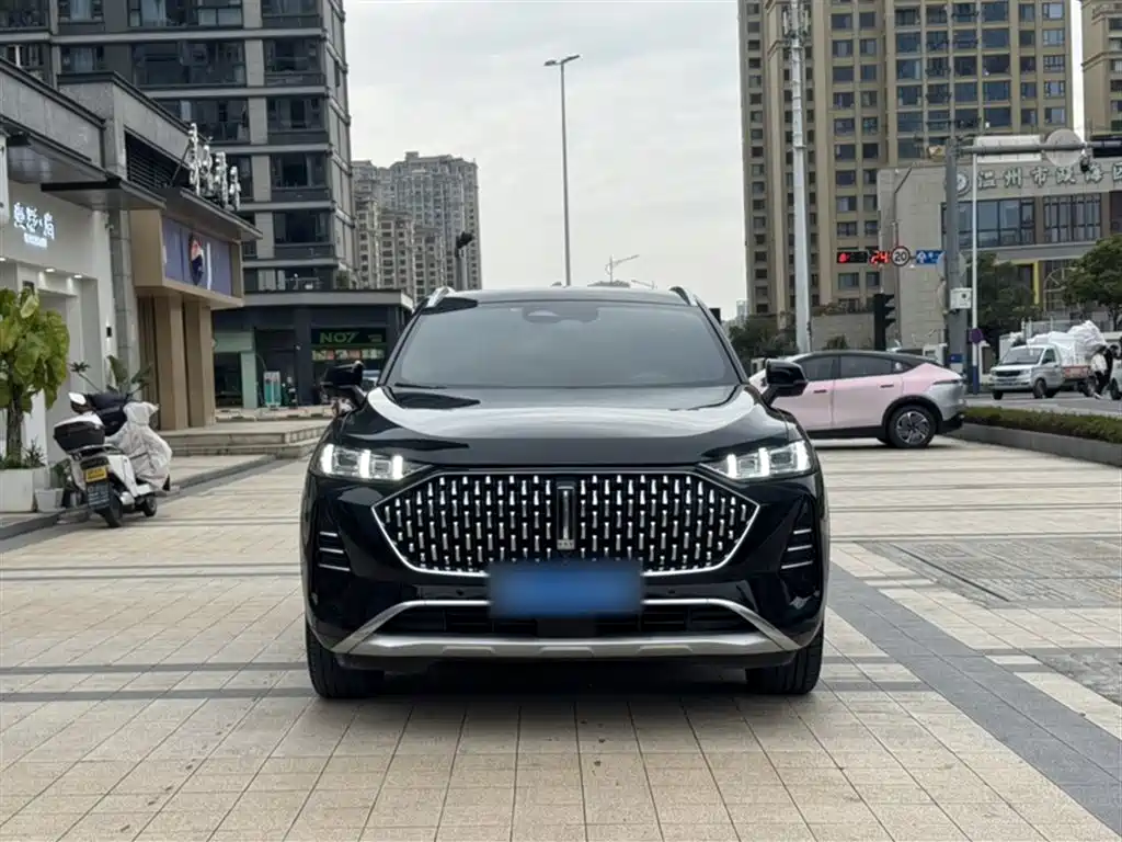 WEY Mocha 2.0 T 2 WD Espresso