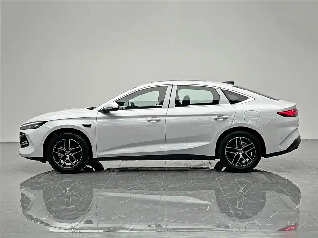 Qin L 秦L 2026款 DM-i 210 KM超越型