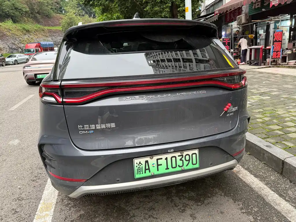 Tang NEV DM-p 215 KM 4 WD Flagship