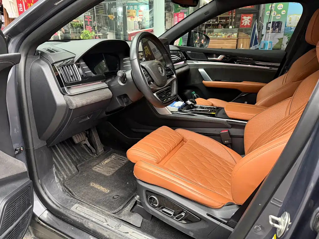Tang NEV DM-p 215 KM 4 WD Flagship