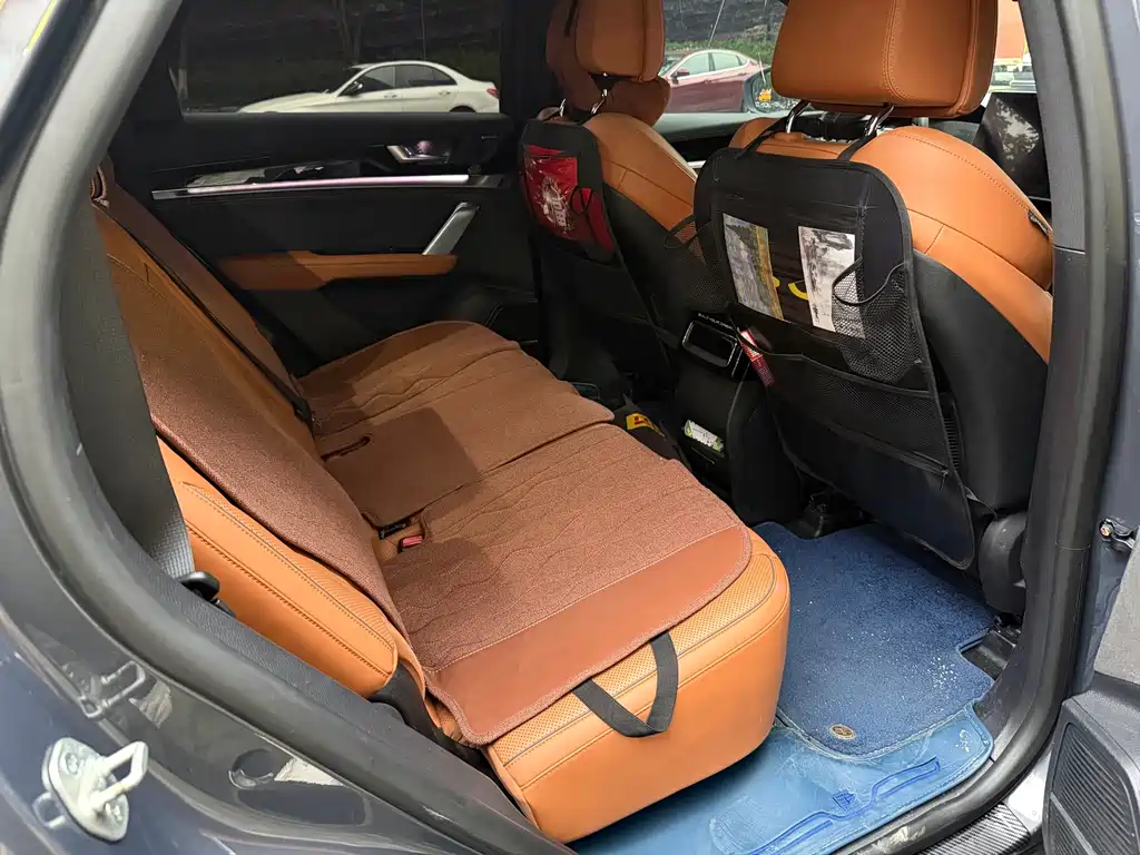 Tang NEV DM-p 215 KM 4 WD Flagship