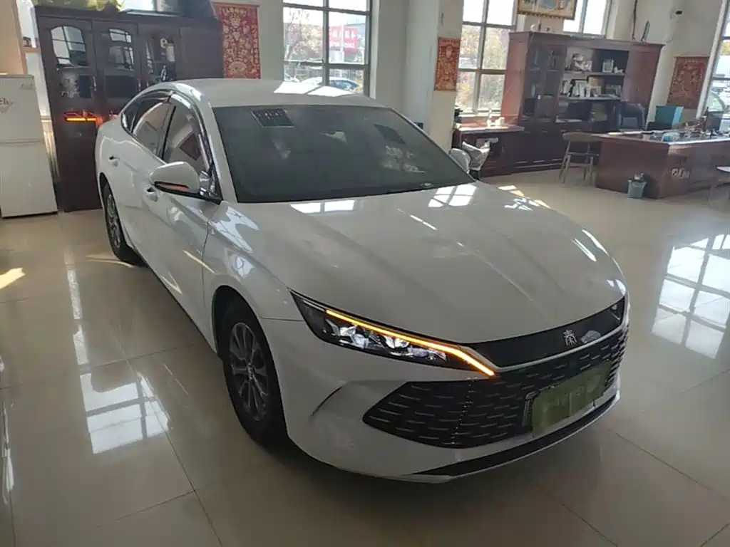 Qin L DM-i 80 KM Leading