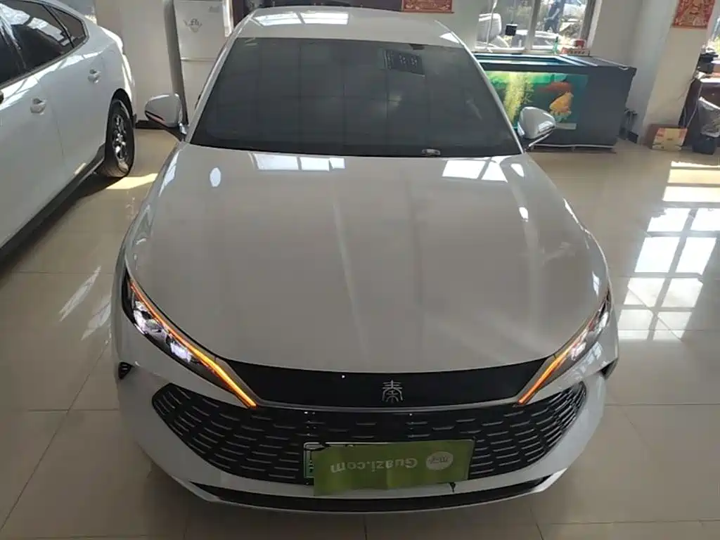 Qin L DM-i 80 KM Leading