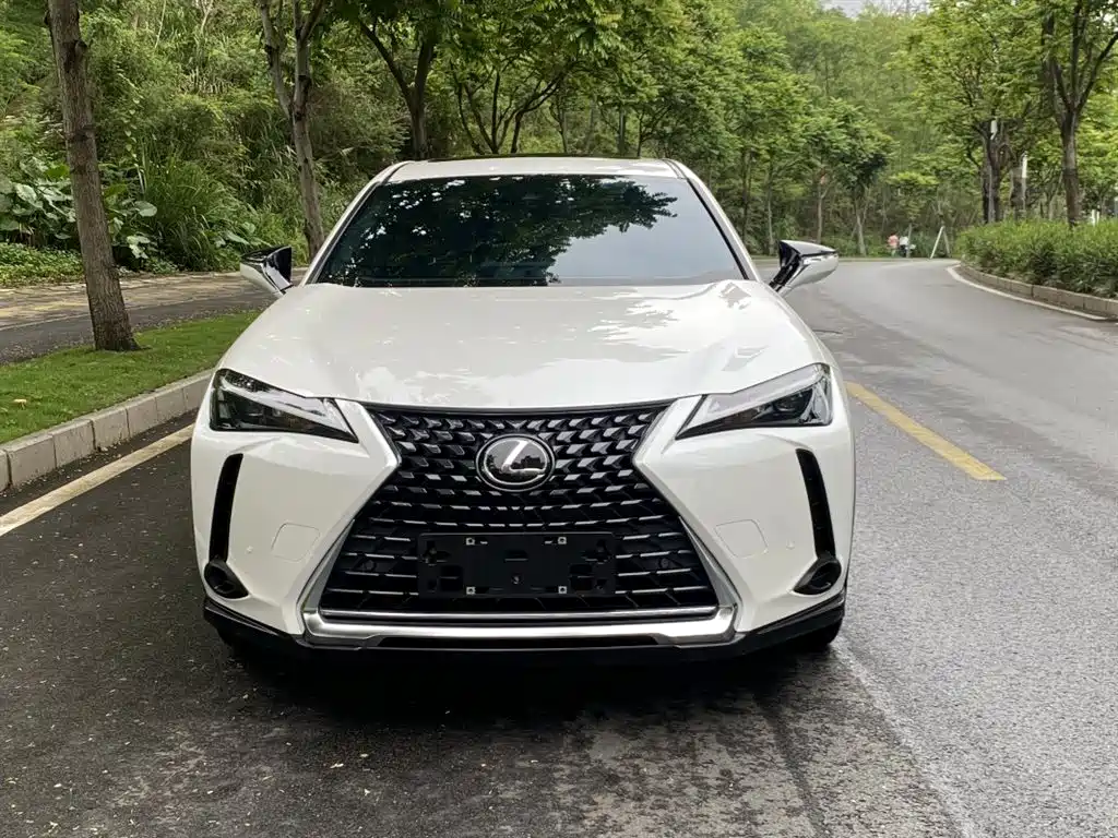 Lexus UX 260 h ·