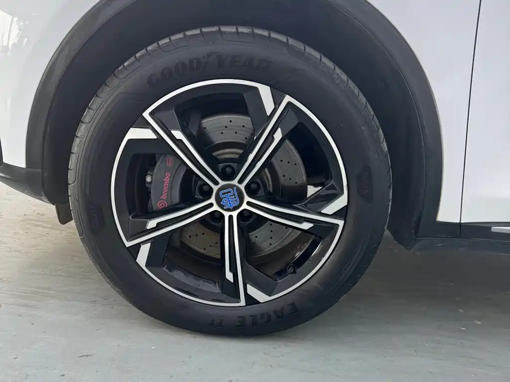 Tang NEV DM 2.0 T 4 WD High Performance Honored