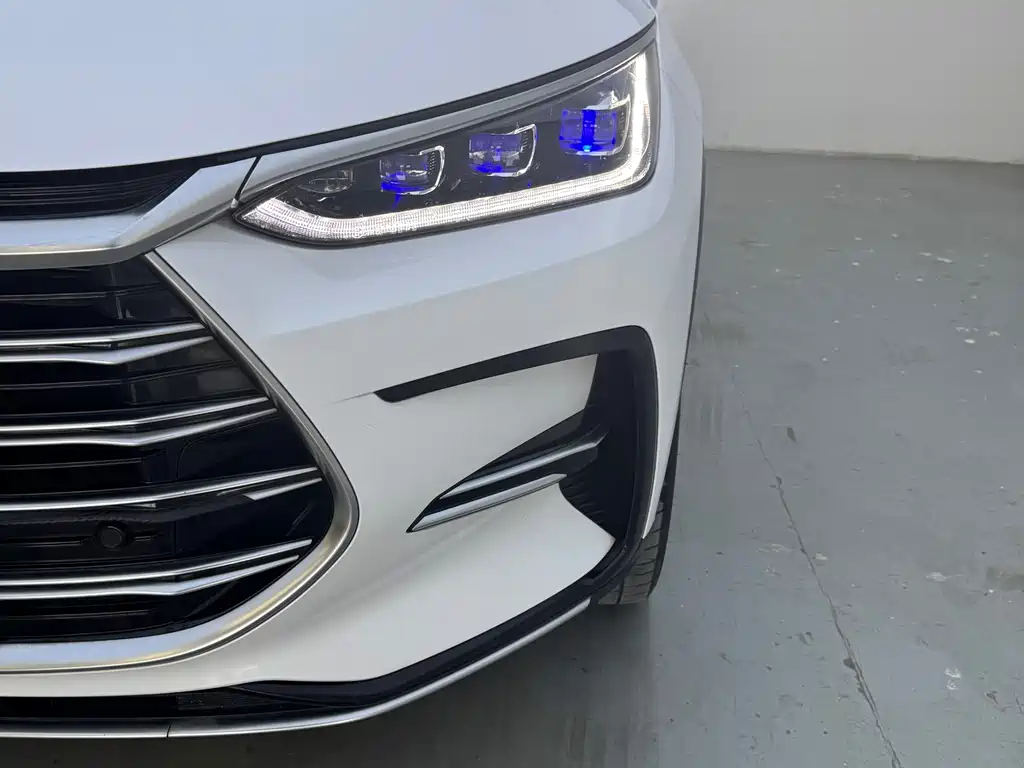 Tang NEV DM 2.0 T 4 WD High Performance Honored