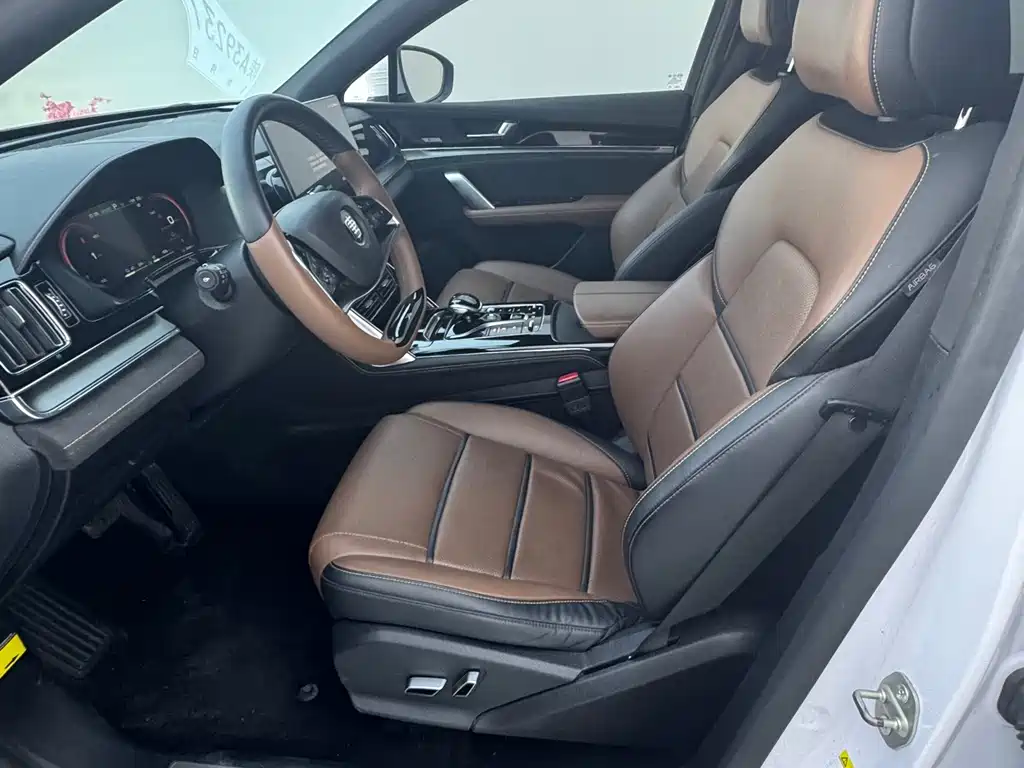 Tang NEV DM 2.0 T 4 WD High Performance Honored