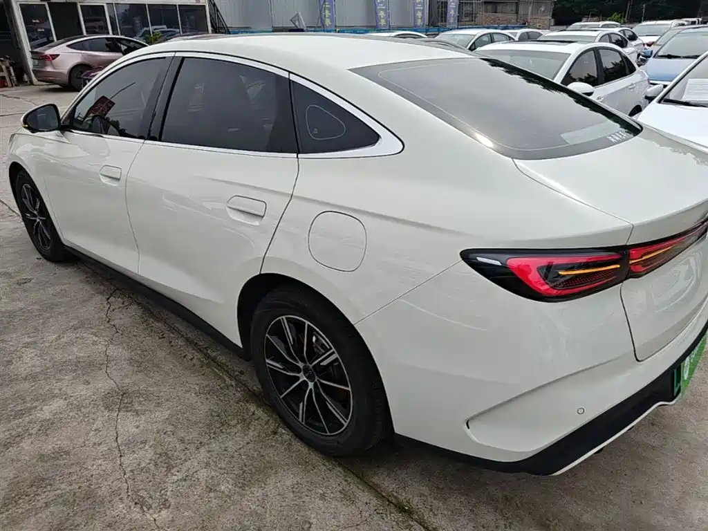 Seal 06 DM-i 80 KM Distinguished