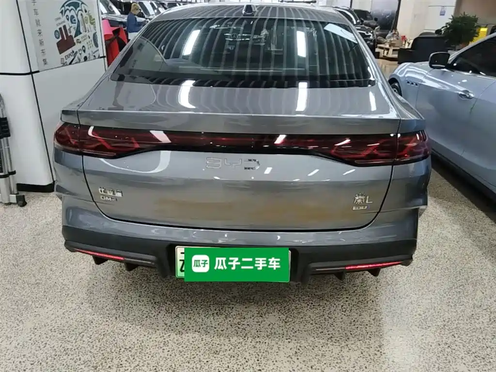 Qin L DM-i Smart Drive 120 KM Transcend