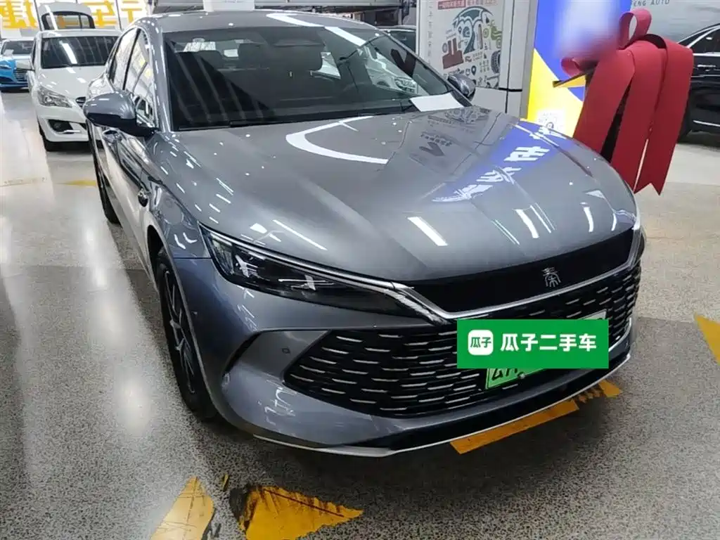 Qin L DM-i Smart Drive 120 KM Transcend